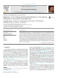 Regulatory Circuit Rewiring and Functional Divergence of the Duplicate Admp Genes in Dorsoventral Axial Patterning