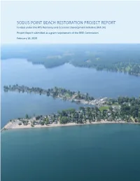 Sodus Point Beach Restoration Project Report