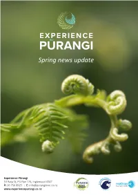 Spring News Update J007006