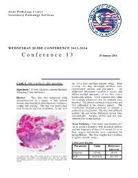 WSC 13-14 Conf 13 Layout