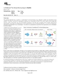 Lanthascreen® Eu Kinase Binding Assay for NUAK2 Overview