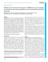 Pdf Breuss No 3