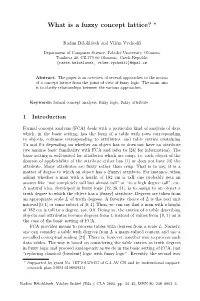 What Is a Fuzzy Concept Lattice? *