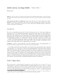 Little Survey on Large Fields – Old & New –