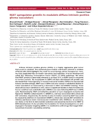 REST Upregulates Gremlin to Modulate Diffuse Intrinsic Pontine Glioma Vasculature