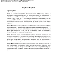Supplementary File 1 Figure Captions