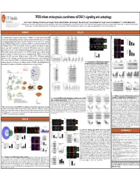 TFEB-Driven Endocytosis Coordinates Mtorc1 Signaling and Autophagy