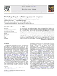 Wnt/Lef1 Signaling Acts Via Pitx2 to Regulate Somite Myogenesis