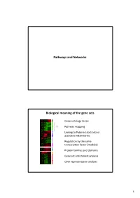 Pathways and Networks Biological Meaning of the Gene Sets