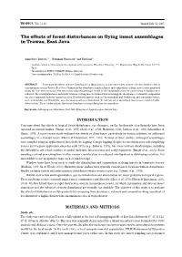 The Effects of Forest Disturbances on Flying Insect Assemblages in Trawas, East Java
