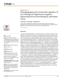 Phylogeography and Conservation Genetics of the Endangered Tugarinovia Mongolica (Asteraceae) from Inner Mongolia, Northwest China