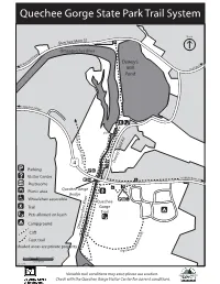 Quechee Gorge State Park Trail System
