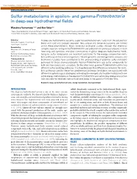 Sulfur Metabolisms in Epsilon- and Gamma-Proteobacteria in Deep-Sea Hydrothermal Fields