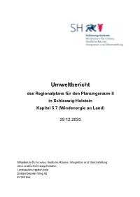 Umweltbericht Regionalplan Wind II