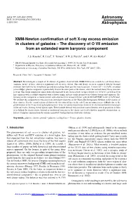 XMM-Newton Confirmation of Soft X-Ray