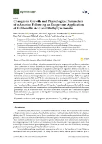 Changes in Growth and Physiological Parameters of ×Amarine Following an Exogenous Application of Gibberellic Acid and Methyl Jasmonate