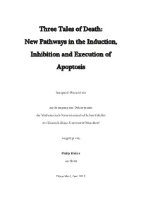 Dissertation Philip Böhler