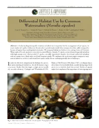 Cfreptiles & Amphibians
