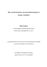 Crystal Structure Analysis of a Bacterial Lysozyme at Very High Resolution