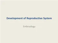 Development of Reproductive System