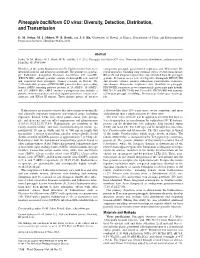 Pineapple Bacilliform CO Virus: Diversity, Detection, Distribution, and Transmission