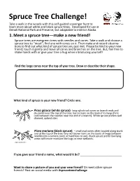 Spruce Tree Challenge! Take a Walk in the Woods with This Self-Guided Scavenger Hunt to Learn More About White and Black Spruce Trees
