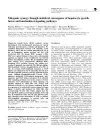 Mitogenic Synergy Through Multilevel Convergence of Hepatocyte Growth Factor and Interleukin-4 Signaling Pathways