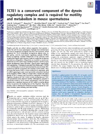 TCTE1 Is a Conserved Component of the Dynein Regulatory Complex and Is Required for Motility and Metabolism in Mouse Spermatozoa