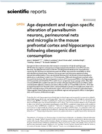 Age-Dependent and Region-Specific Alteration of Parvalbumin Neurons, Perineuronal Nets and Microglia in the Mouse Prefrontal
