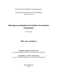 Myxosporean Phylogeny and Evolution of Myxospore Morphotypes