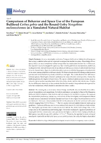 Comparison of Behavior and Space Use of the European Bullhead Cottus Gobio and the Round Goby Neogobius Melanostomus in a Simulated Natural Habitat