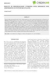 Effects of Biofertilizers Combined with Different Soil Amendments on Potted Rice Plants