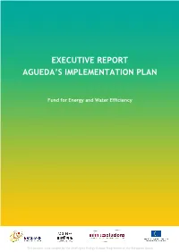 Executive Report Agueda's