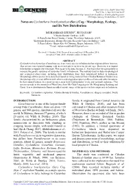 Notes on Cyclanthera Brachystachya (Ser.) Cog.: Morphology, Ecology, and Its New Distribution