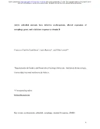 Zmiz1a Zebrafish Mutants Have Defective Erythropoiesis, Altered Expression Of