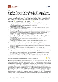 Arecoline Promotes Migration of A549 Lung Cancer Cells Through Activating the EGFR/Src/FAK Pathway