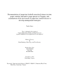 Documentation of Grapevine Leafroll-Associated Viruses in Wine Grape Varieties and Native Grape Species in Virginia, and Examina