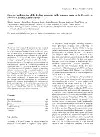 Structure and Function of the Feeding Apparatus in the Common Musk Turtle Sternotherus Odoratus (Chelonia, Kinosternidae)