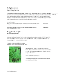 Thelypteridaceae Marsh Fern Family