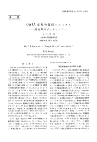 解 説 GABA Synapse
