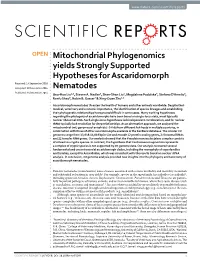 Mitochondrial Phylogenomics Yields Strongly