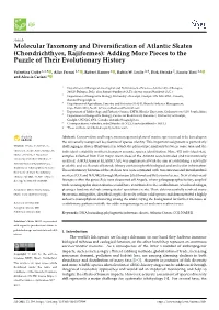 Molecular Taxonomy and Diversification of Atlantic Skates