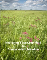 Restoring Your Crop Field to Conservation Meadow