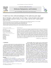 A Multi-Locus Time-Calibrated Phylogeny of the Siphonous Green Algae