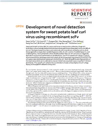 Development of Novel Detection System for Sweet Potato Leaf Curl