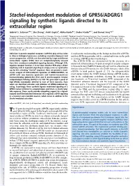 Stachel-Independent Modulation of GPR56/ADGRG1 Signaling by Synthetic Ligands Directed to Its Extracellular Region