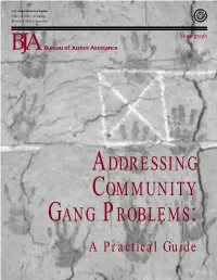 ADDRESSING COMMUNITY GANG PROBLEMS: a Practical Guide U.S