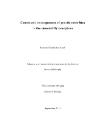 Causes and Consequences of Genetic Caste-Bias in the Eusocial Hymenoptera