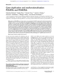 Gene Duplication and Neofunctionalization: POLR3G and POLR3GL