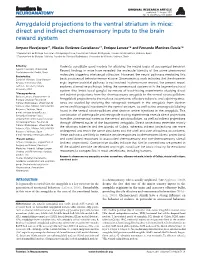 Amygdaloid Projections to the Ventral Striatum in Mice: Direct and Indirect Chemosensory Inputs to the Brain Reward System